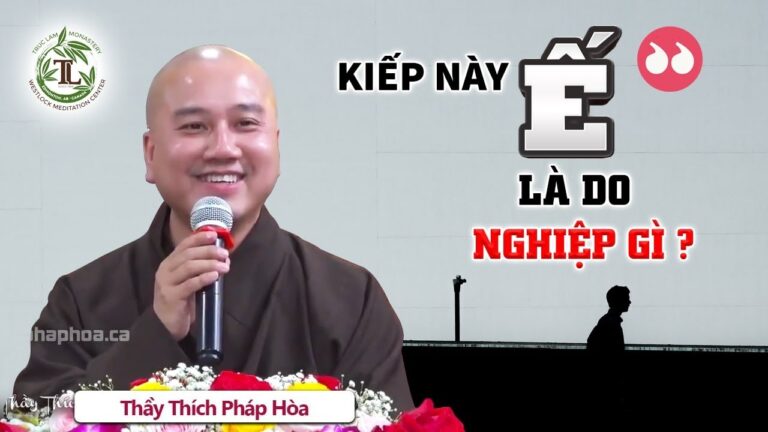 “Ế” là do NGHIỆP gì? Vấn Đáp Thầy Thích Pháp Hòa CƯỜI ĐAU RUỘT