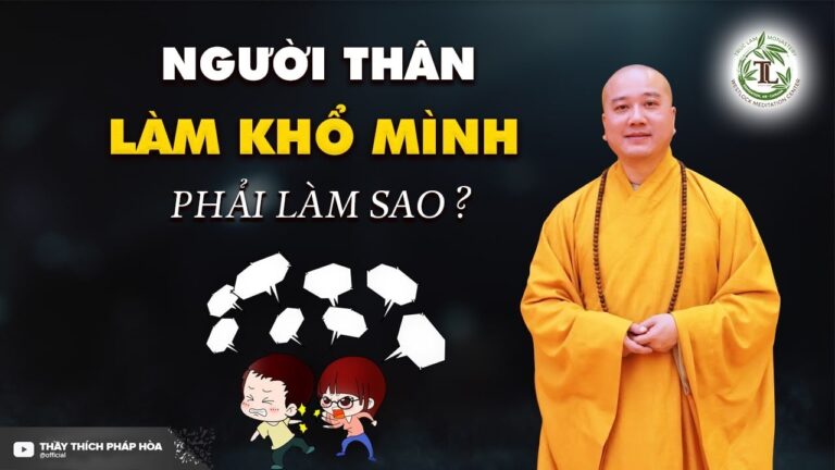 “Người Thân Làm Khổ Mình” phải làm gì để Hóa Giải? – Vấn Đáp Thầy Thích Pháp Hòa