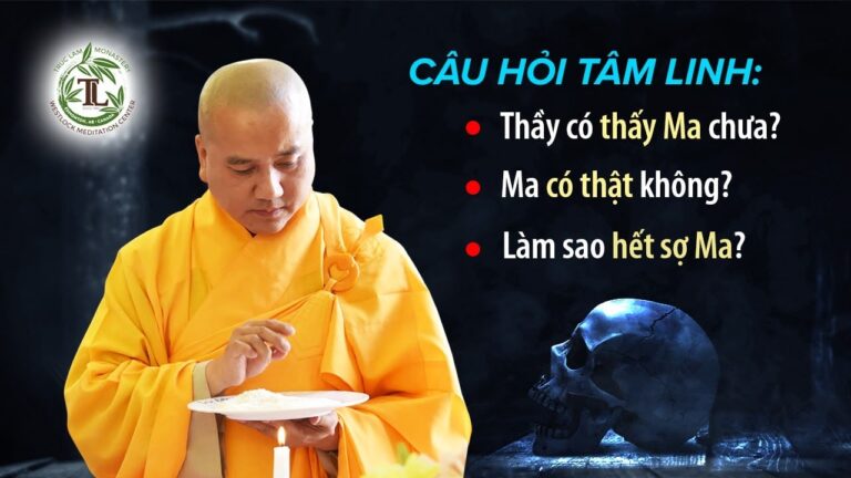 Hỏi: “Thầy có thấy Ma chưa, Ma có thật không, Làm gì để hết sợ Ma?” – Vấn Đáp Thầy Thích Pháp Hòa