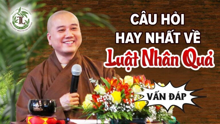 Câu hỏi Hay Nhất về Luật Nhân Quả – Vấn Đáp Thầy Thích Pháp Hòa