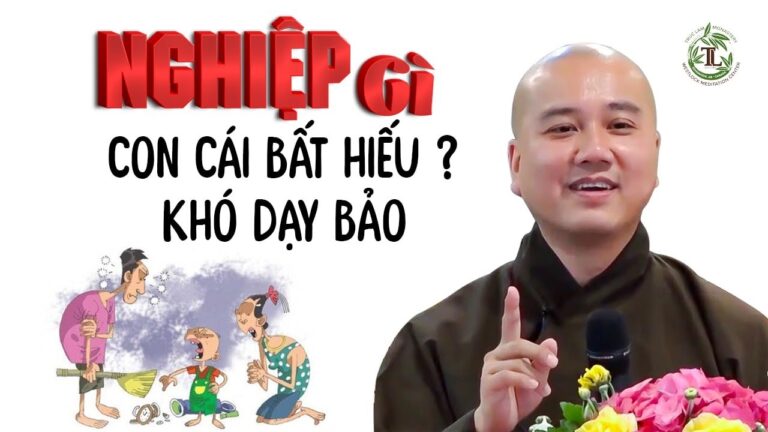 NGHIỆP Gì mà con cái Bất Hiếu với cha mẹ – Vấn Đáp Thầy Thích Pháp Hòa