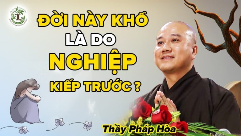 Cuộc Đời KHÔNG NHƯ Ý có phải do Nghiệp Kiếp Trước? – Vấn Đáp Thầy Thích Pháp Hòa