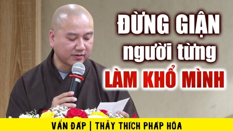 Xin Đừng Giận người làm khổ mình – Vấn Đáp Thầy Thích Pháp Hòa (tuyệt hay)