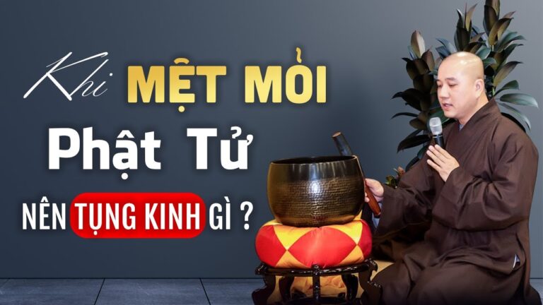 Khi quá Mệt Mỏi nên Tụng Kinh gì cho hết Phiền Não? Vấn Đáp Thầy Thích Pháp Hòa rất hay và ý nghĩa