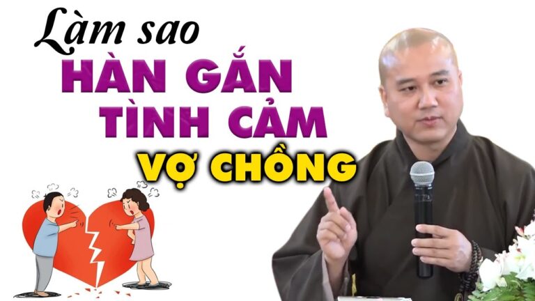 Vợ Chồng Sứt Mẻ Tình Cảm Làm Sao Hàn Gắn? Vấn đáp Thầy Thích Pháp Hòa (rất hay)