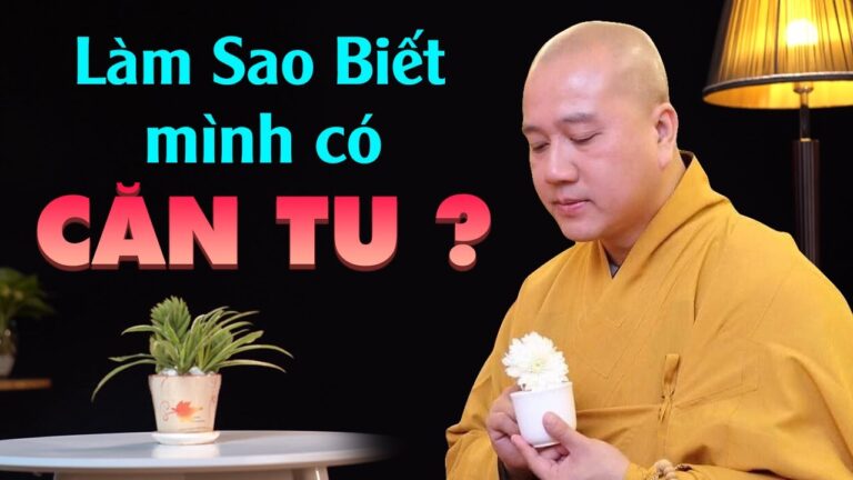 Làm Sao Biết Mình Có CĂN TU – Thầy Thích Pháp Hòa (vấn đáp tuyệt hay)