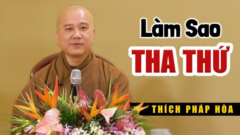 Làm sao Tha Thứ cho người đã Xúc Phạm mình? – Vấn đáp Thầy Thích Pháp Hòa