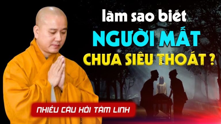 Làm sao biết Người Mất CHƯA SIÊU THOÁT – Thầy Thích Pháp Hòa