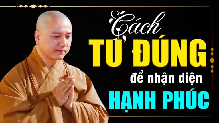 Hạnh phúc luôn có mặt, chỉ có chúng ta không nhận ra mà thôi – Vấn đáp Thầy Thích Pháp Hòa (rất hay)