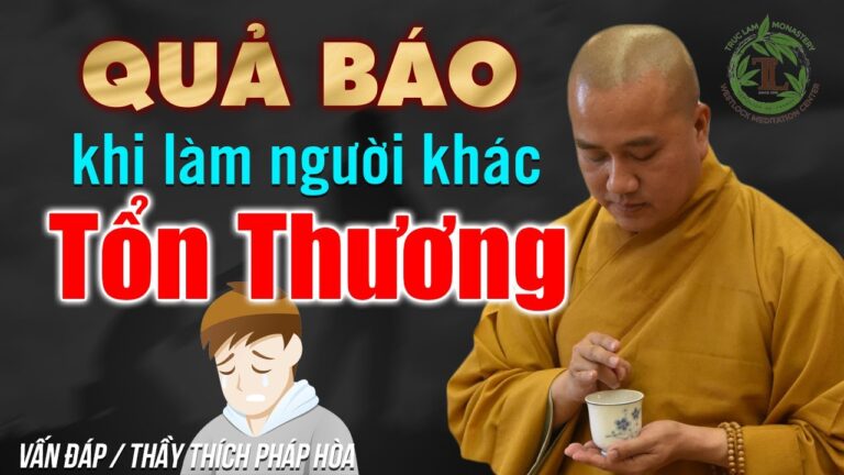 Làm tổn thương người khác có phải nhận quả báo không? – Vấn đáp Thầy Thích Pháp Hòa (rất hay)