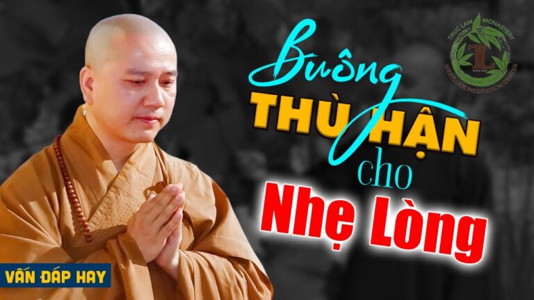 Buông Cho Nhẹ Lòng, Thù Hận Giữ Trong Lòng Làm Chi Để Khổ Chồng Thêm Khổ – Vấn đáp Thầy Pháp Hòa