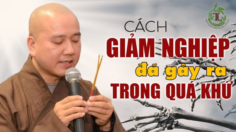 Làm sao Giảm Tội cho những gì mình đã gây ra – Vấn đáp Thầy Thích Pháp Hòa