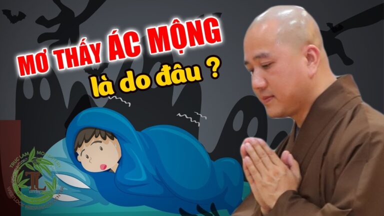 Thường xuyên gặp ác mộng là do đâu? Vấn đáp Thầy Thích Pháp Hòa (nhiều câu hỏi hay)