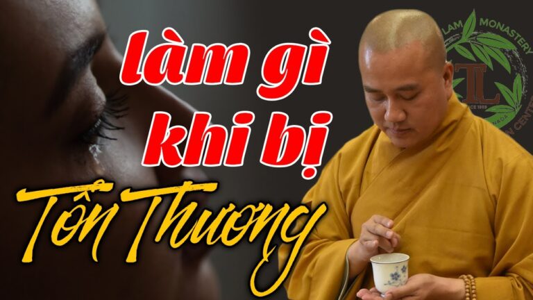 Làm gì khi người khác làm mình Tổn Thương? – Vấn đáp Thầy Thích Pháp Hòa