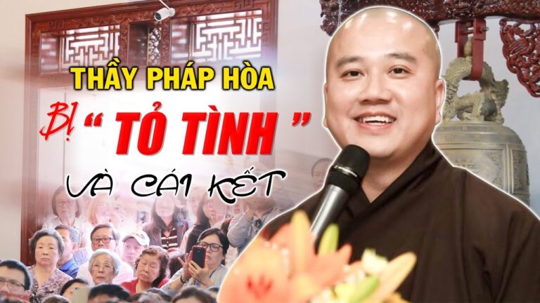 Bị Phật Tử “tỏ tình” và khen Đẹp Trai, Thầy Pháp Hòa phản ứng ra sao? Buổi vấn đáp quá hay