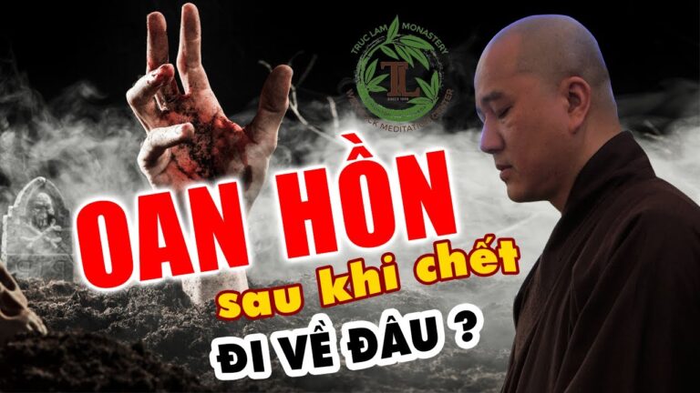 Sau khi chết Hồn Sẽ Đi Về Đâu? Vấn đáp Thầy Thích Pháp Hoà (rất hay)