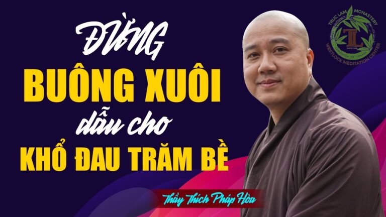 Đừng Buông Xuôi Dẫu Khổ Đau Trăm Bề – Thầy Thích Pháp Hòa (rất hay)