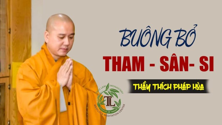 VẤN ĐÁP tuyệt hay về Tham Sân Si – Thầy Pháp Hòa giảng rất thực tế trong đời sống