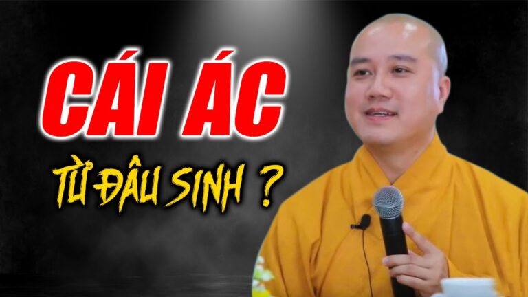 Cái Ác từ đâu sinh ra? Buổi vấn đáp quá hay Thầy Thích Pháp Hòa tại Mỹ