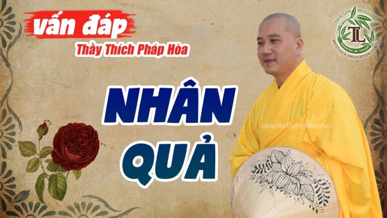 Gieo Nhân Ắt Gặp Quả – Vấn đáp Thầy Thích Pháp Hòa (rất hay)