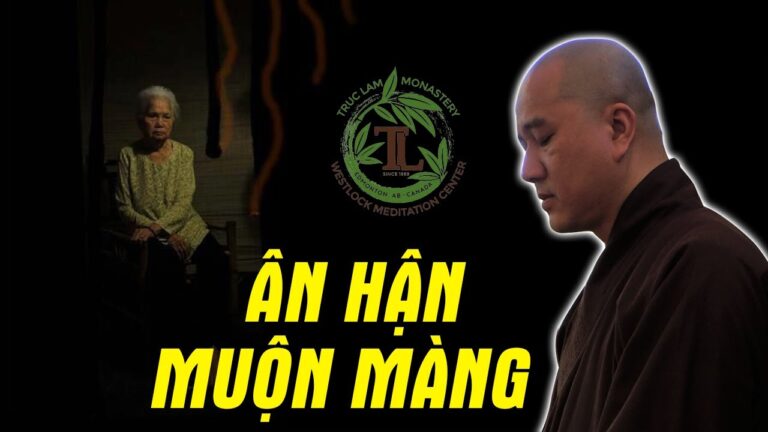 Phật Tử ân hận muộn màng khi không cho con đi Xuất Gia (vấn đáp) – Thầy Thích Pháp Hòa