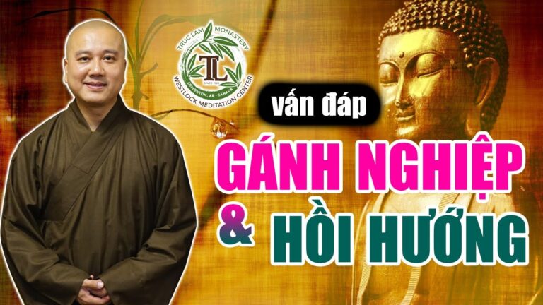 Tại sao không thể Gánh Nghiệp nhưng có thể Hồi Hướng cho người khác? – Vấn đáp Thầy Thích Pháp Hòa