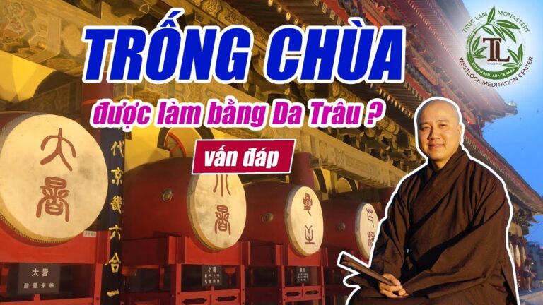 Tại sao Trống trong chùa được làm bằng Da Trâu? (vấn đáp) – Thầy Thích Pháp Hòa