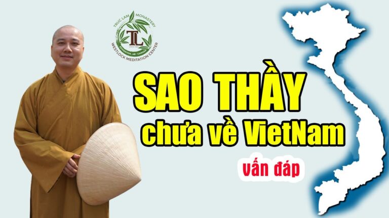 Tại sao Thầy Thích Pháp Hoà chưa về Việt Nam? (vấn đáp) – Thầy Thích Pháp Hoà