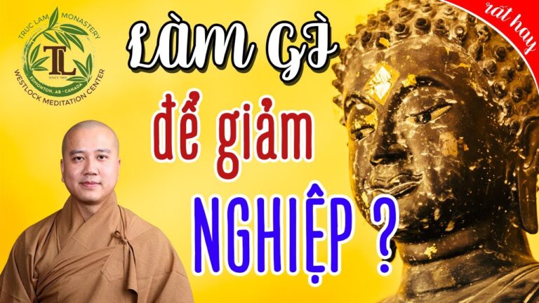 Làm gì để giảm bớt Nghiệp? (vấn đáp) – Thầy Thích Pháp Hòa