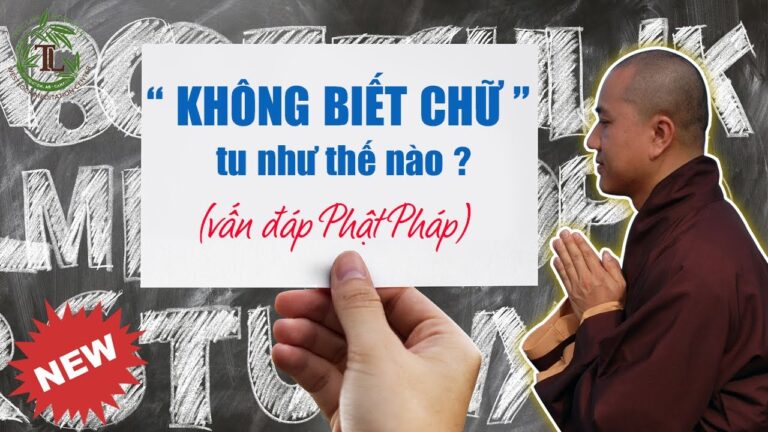 Người Không Biết Chữ tu thế nào để Giải Thoát? (vấn đáp Thầy Thích Pháp Hòa)