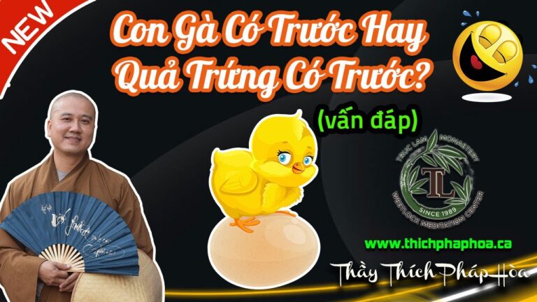 Con Gà Có Trước Hay Quả Trứng Có Trước? (vấn đáp) – Thầy Thích Pháp Hòa