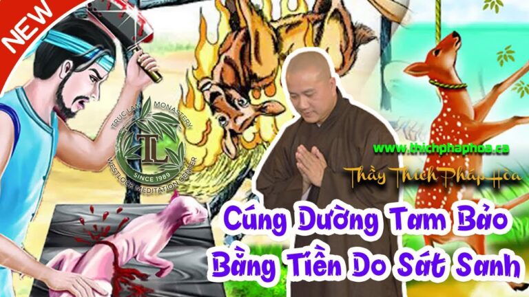 Dùng Tiền Do Sát Sanh Cúng Dường Tam Bảo Có Được Phước Không? (vấn đáp) – Thầy Thích Pháp Hòa