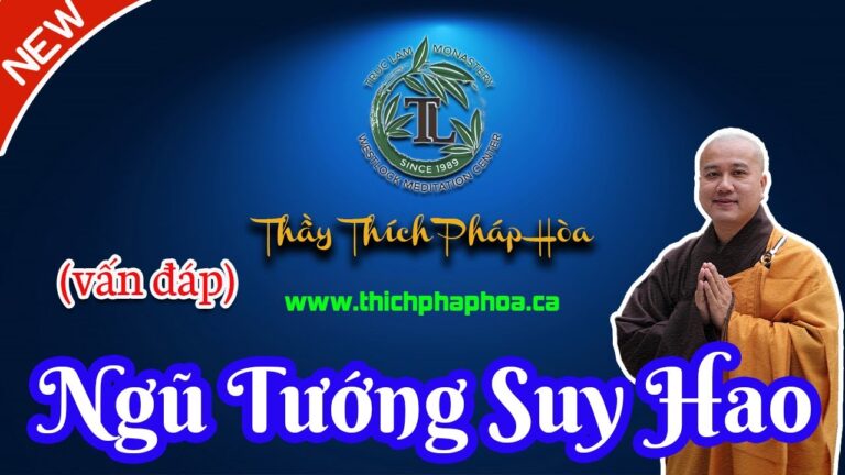 Ý Nghĩa Của Câu “Tội Để Hoa Héo Trên Đầu” (vấn đáp) – Thầy Thích Pháp Hòa