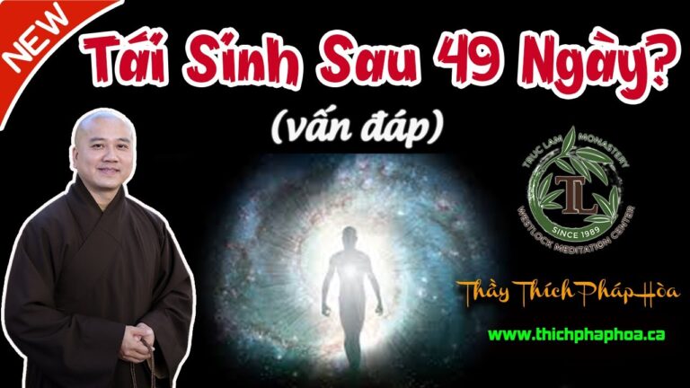 Người Mất có Tái Sinh Không? (vấn đáp) – Thầy Thích Pháp Hòa