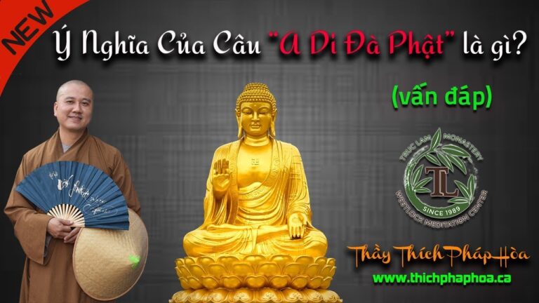 Ý Nghĩa Của Câu “A Di Đà Phật” là gì? (vấn đáp) – Thầy Thích Pháp Hòa