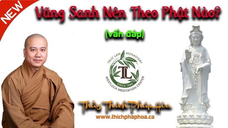 Vãng Sanh Nên Theo Phật Nào (vấn đáp – nên biết) – Thầy Thích Pháp Hòa