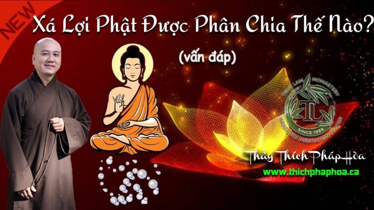 Xá Lợi Phật Được Phân Chia Thế Nào? Giây Phút Niết Bàn (vấn đáp) – Thầy Thích Pháp Hòa