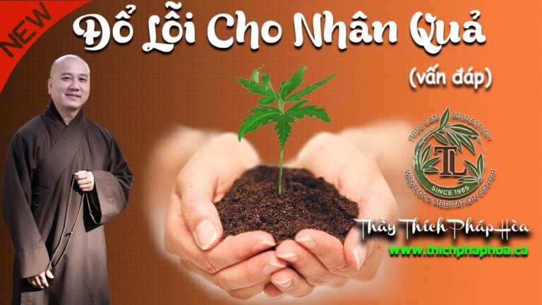 Đổ Lỗi Cho Nhân Quả (vấn đáp – nên nghe) – Thầy Thích Pháp Hòa