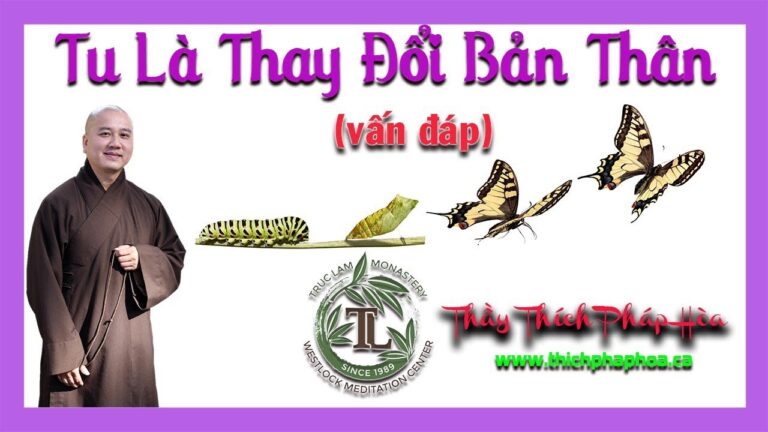 Tu Là Thay Đổi Bản Thân (vấn đáp – rất ý nghĩa) – Thầy Thích Pháp Hòa