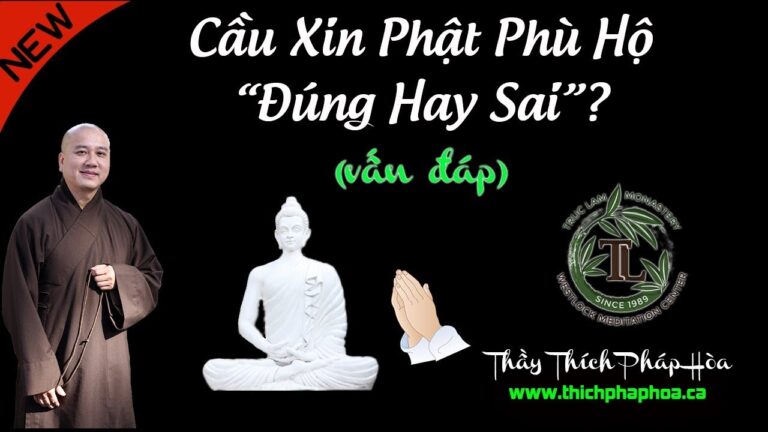 Cầu Xin Phật Phù Hộ “Đúng Hay Sai”? (vấn đáp – nên biết) – Thầy Thích Pháp Hòa