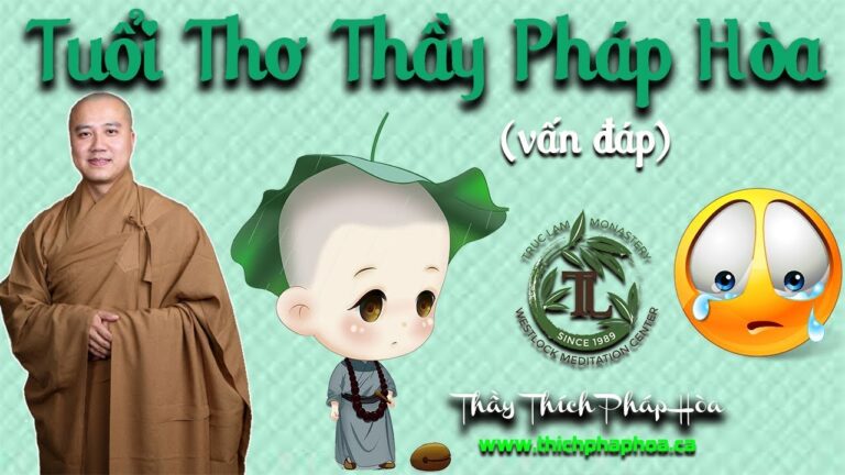 Tuổi Thơ Thầy Pháp Hòa (vấn đáp – nghe rơi nước mắt) – Thầy Thích Pháp Hòa