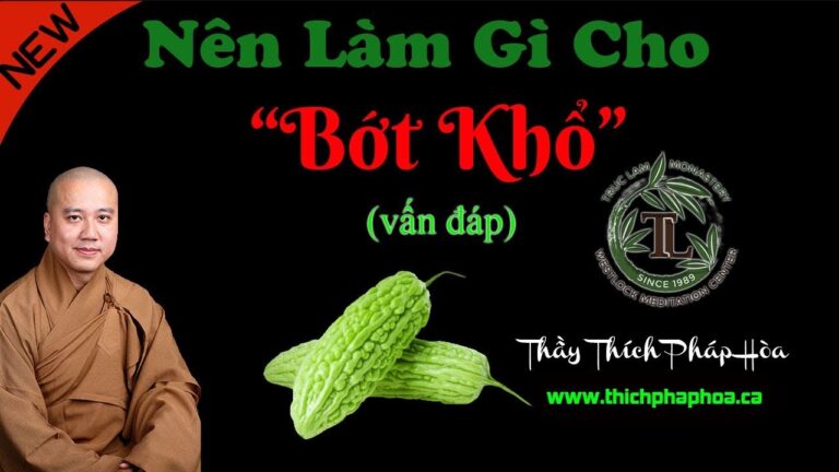 Nên Làm Gì Cho Bớt Khổ? (vấn đáp) – Thầy Thích Pháp Hòa