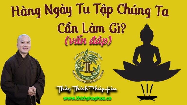 Hàng Ngày Tu Tập Chúng Ta Cần Làm Gì? (vấn đáp – rất vui) – Thầy Thích Pháp Hòa