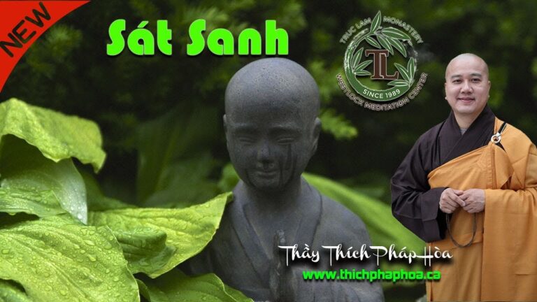 Sát Sanh Có Tội Không? (vấn đáp) – Thầy Thích Pháp Hòa