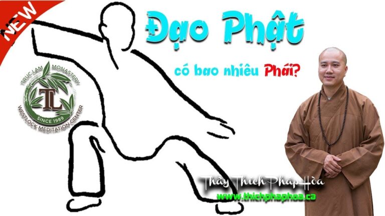 Đạo Phật có bao nhiêu Phái? (vấn đáp) – Thầy Thích Pháp Hòa