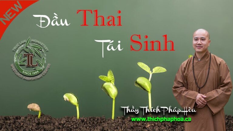 Đầu Thai với Tái Sinh khác chổ nào? (vấn đáp) – Thầy Thích Pháp Hòa