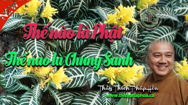 Thế nào là Phật Thế nào là Chúng Sanh? (vấn đáp) – Thầy Thích Pháp Hòa