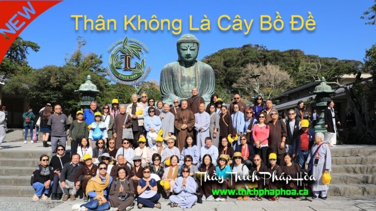 Thân không là cây Bồ Đề (vấn đáp) – Thầy Thích Pháp Hòa