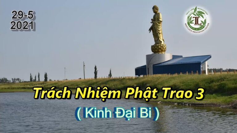 Trách Nhiệm Phật Trao 03 – Thầy Thích Pháp Hòa (Tv.Trúc Lâm.Ngày 29.5.2021)