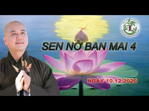 Sen Nở Ban Mai 04 – Thầy Thích Pháp Hòa (Tv Trúc Lâm, ngày 10.12.2020)